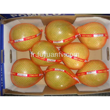 Hotsale pomelo frais avec un bon goût